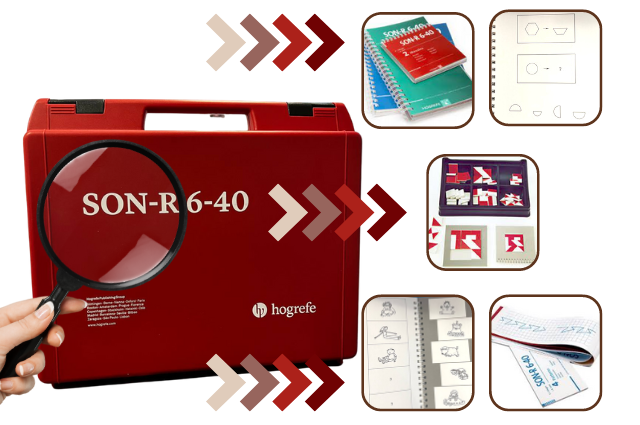 Son-r 6 40 Ergebnisse Interpretation TestCentral - D&D Consultants Grup - GIUNTI PSYCHOMETRICS ROMANIA S.R.L.